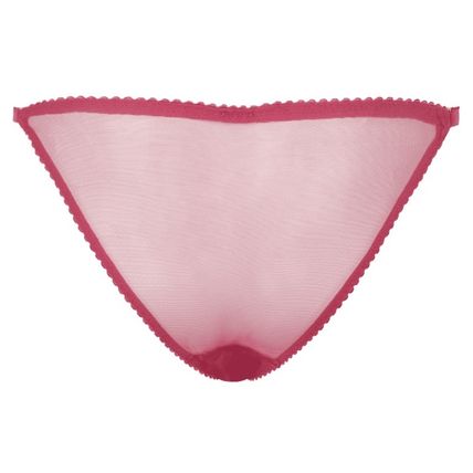 AGENT PROVOCATEUR Fia Brief Size AP 4 BNWT