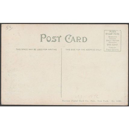 Hudson River Terminal Buildings, New York, c.1905-10 - Success Postal Card Co PC