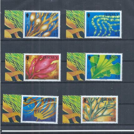 Jersey stamps. 2009 Marine Life - Seaweed MNH SG 1444 - 1449 (AK794)