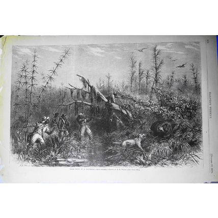 African American] Bear Hunt in a Southern Cane-Brake, by A. R. Waud. H.W., 1870