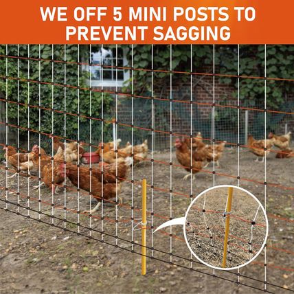 Poultry Electric Netting Fence - 47.3''H (Can Be Raised to 59.1''H) X 65.6'L for