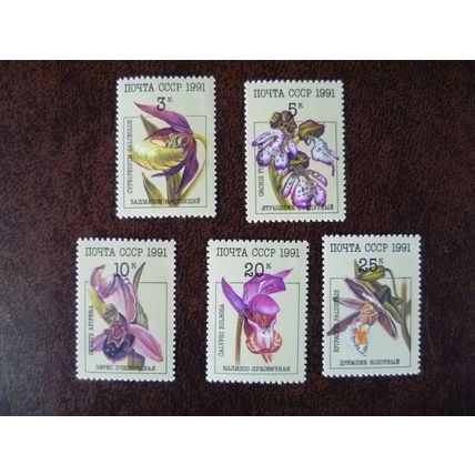 Russia USSR 1991 Orchids set mint stamps SG6247-51 flowers plants