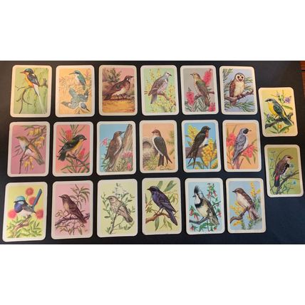 20 Vintage Tuckfields Australian Bird Cards - SET F