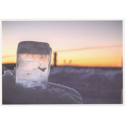 Ice Cube As Funny Face German Snowman Award Photo Germany Postcard