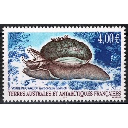 FSAT TAAF 352 MNH Sea Snail Marine Life Antarctic Polar ZAYIX FSA-S0162M
