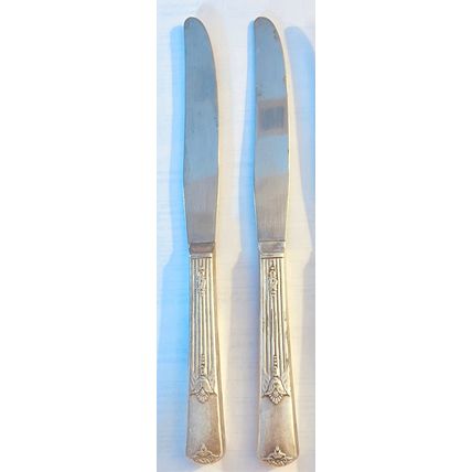 2 - Dinner Knives 9" long stainless blade #600