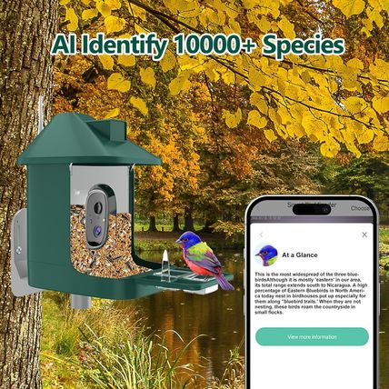 Bird Feeder with Camera,Fhd Live View,Wifi Smart Bird House with Cam Solar Power