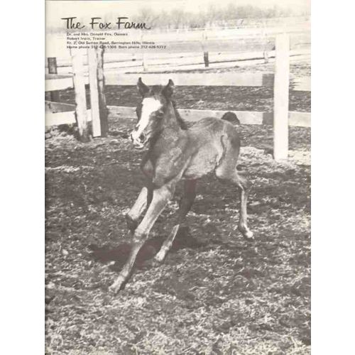 the fox farm 1972 robert irwin barrington hills il horse vintage ad