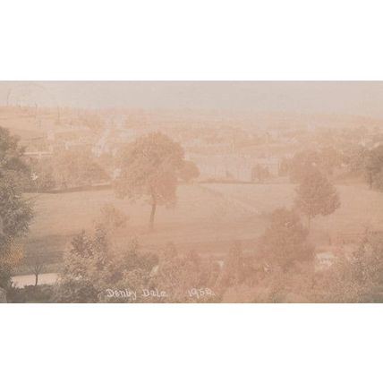 Denby Dale Woods Yorkshire Real Photo Postcard