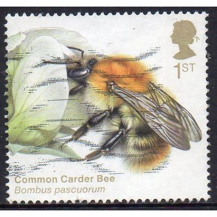 GB 2020 Brilliant Bugs - Common Carder Bee 1st Used
