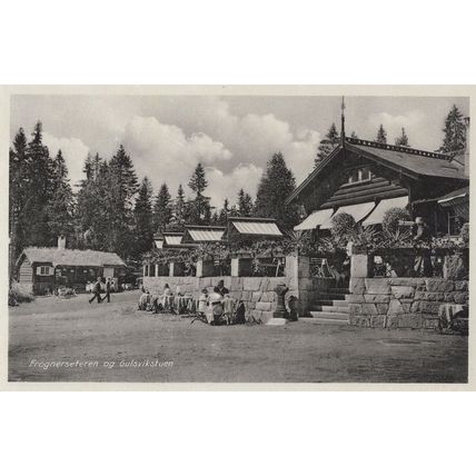 Gulsvikstuen Frognerseteren Vintage Norway Real Photo Postcard