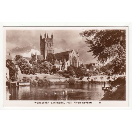 Worcester Cathedral from the River Severn Postcard RP 47