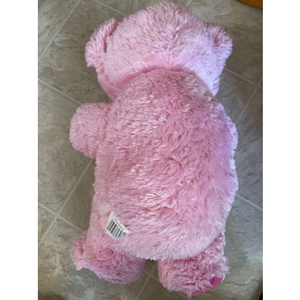 Super Cute Pink DanDee Stuffed Teddy Bear with Princess Heart 2014 19" Sweet