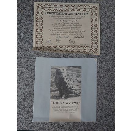 'The Snowy Owl' from the Stately Owls Collection for Knowles China