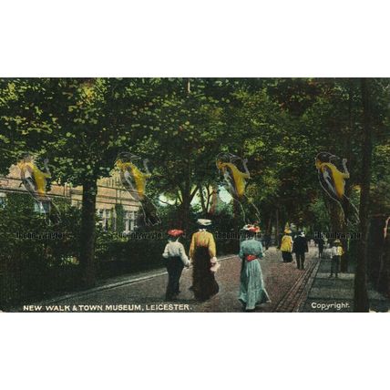New Walk & Town Museum, Leicester, GD & DL Postcard, 1908