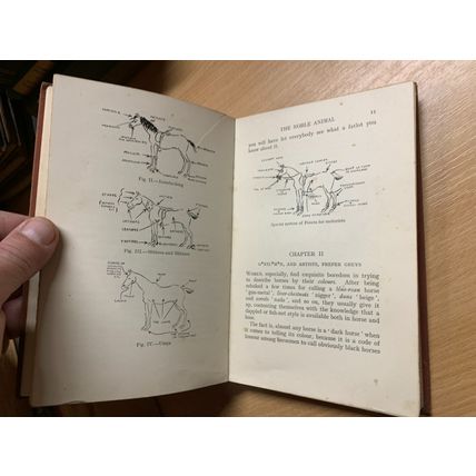 1933 "HORSE NONSENSE" EQUESTRIAN HUMOUR ILLUSTRATED HARDBACK BOOK (P3)
