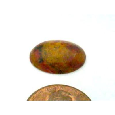 Petrified Wood Freeform Gemstone Cabochon 295