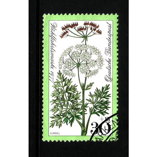 GERMANY 1977 MEADOW FLOWERS 30pf + 15pf CARAWAY FINE USED