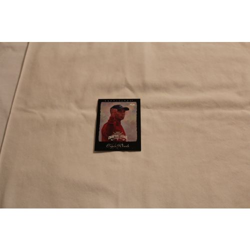 Tiger Wood 2003 Upper Deck Renditions THE CHAMPIONS LOUNGE NO. 98