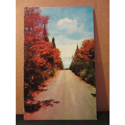 AUTUMN COLOURS, MINNESOTA, USA unused postcard =