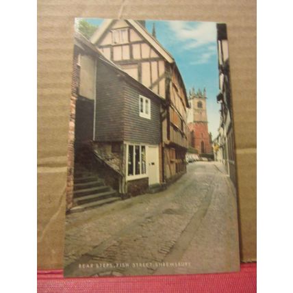 BEAR STEPS, FISH STREET, SHREWSBURY, SHROPSHIRE unused postcard by Salmon =