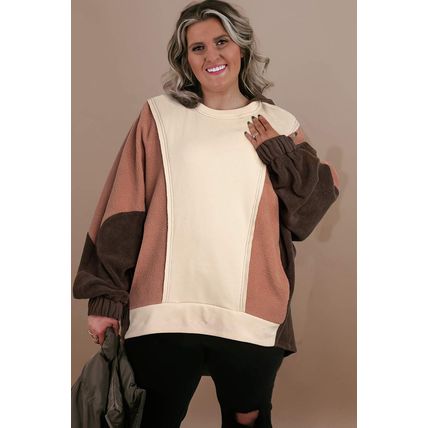 Brown Exposed Seam Colorblock Plus Size Hoodie