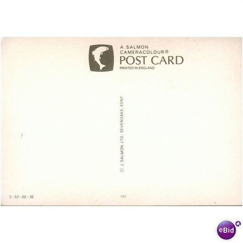 GB Postcard - New Forest Ponies, Hampshire
