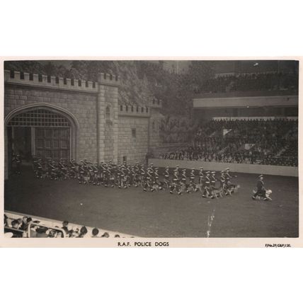 RAF Police Dogs at Queen Elizabeth Procession Rare OldPostcard