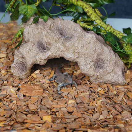 Reptile Hides Large Rock Reptile Cave Hideout Terrarium Habitat Decor Ornament S