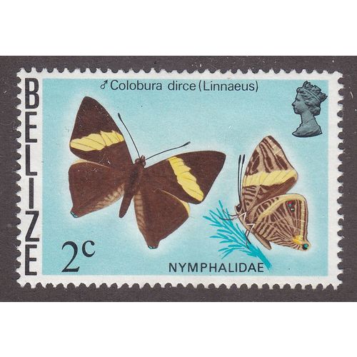 Belize 1974 2c Nymphalidae Unmounted Mint NHM SG 382 Sc 347 stamp butterfly