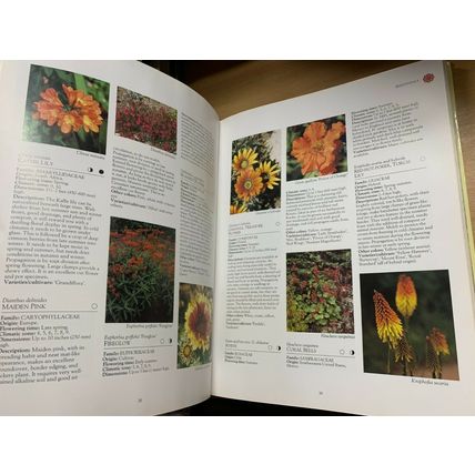 1990 "FLOWERS IN COLOUR" GARDEN FLOWERS LARGE HEAVY 1.9kg HARDBACK BOOK (P8)
