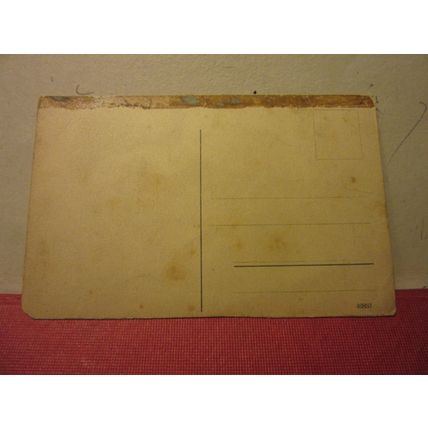 TOTAL VON DER RHEINSEITE, MAINZ, GERMANY unused antique postcard ships /