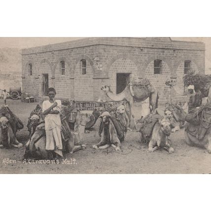 Aden A Caravan's Malt Antique Postcard