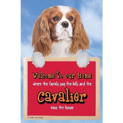 3D CAVALIER BLENHEIM WELCOME SIGN STUNNING 3D great Christmas stocking filler