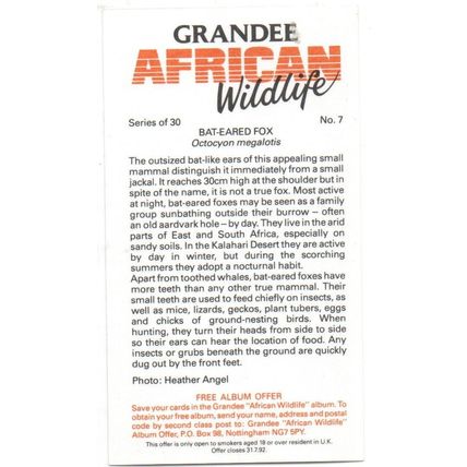PLAYER'S GRANDEE CIGAR CARD AFRICAN WILDLIFE 1990 EXCELLENT No. 7 BAT EARED FOX
