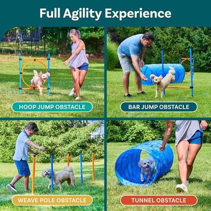 Dog Agility Course Backyard Set, Dog Agility Equipment, Dog Obstacle Course Back