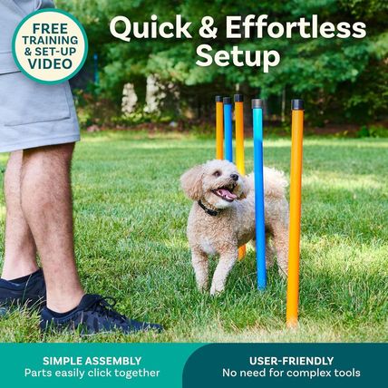 Dog Agility Course Backyard Set, Dog Agility Equipment, Dog Obstacle Course Back