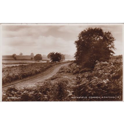EC827 ASHFORD - HOTHFIELD COMMON. R/P POSTCARD