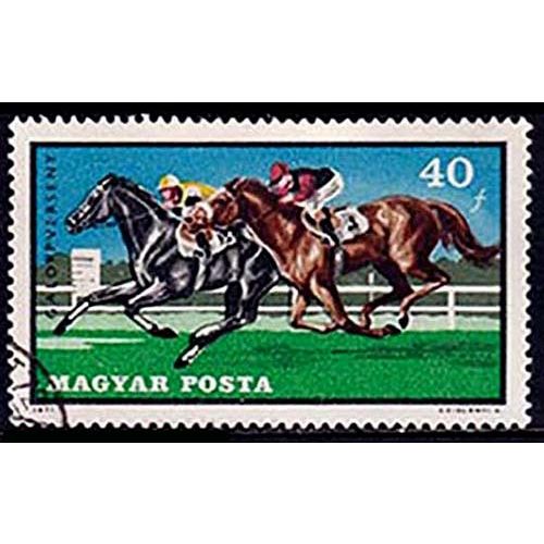 Hungary 1971 Horse Sports 40f Used Stamp