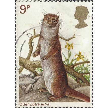 GB, MAMMAL, Otter, Lutra lutra, white 1977, 9p