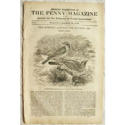 1839 The Penny Magazine No. 481 Sir Philip Sidney, preservation fruit, municipal
