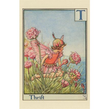 Thrift Flower Fairy From 1930s Fairies Alphabet Old Book Postcard