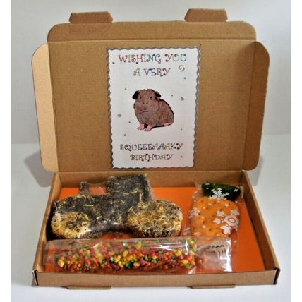 GUINEA PIG BIRTHDAY BOX DECORATED BOX WITH TRACTOR CARROT & HONEY BAR TREATS