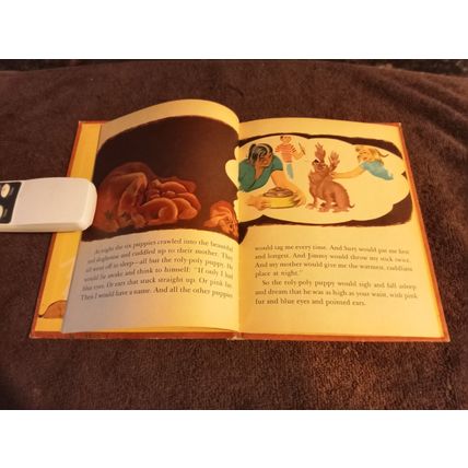 Wonder Book Hoppy The Puppy By Barbara S. Bates 1950 Great Shape