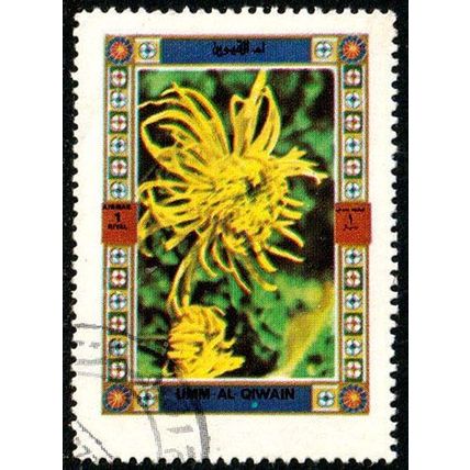 Umm Al Qiwain 1972 Flowers Airmail 1R Used Stamps #1