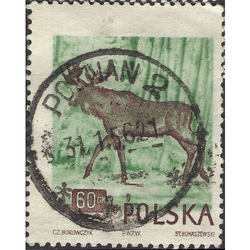 POLAND, MAMMAL, Eurasian Elk, green 1954, 60gr