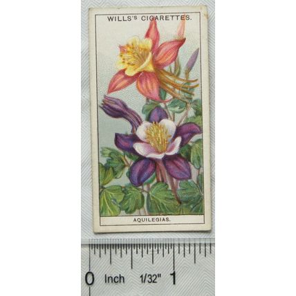 1933 Wills Garden Flowers No. 4 Aquilegias