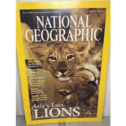 National Geographic Magazine June 2001 Asia's Last Lions - Vintage Collectable