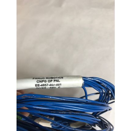 NEW FANUC ROBOTICS CNPG OP PNL,EE-4657-607-001 DIVER/REV C,313812 S34750B,SH