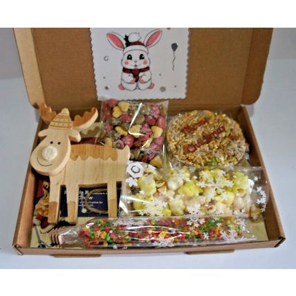 HOPPY CHRISTMAS RABBIT BUNNY GIFT BOX WITH REINDEER WOOD GNAW AND TASTY TREATS